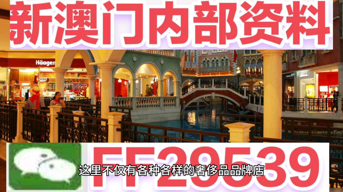 澳門未來展望，2025年的澳門展望，澳門未來展望，展望2025年澳門發(fā)展藍(lán)圖