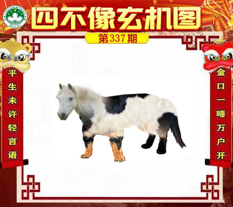澳門(mén)一肖一碼一待一中四不像——揭秘與探索，澳門(mén)神秘一肖一碼，揭秘與探索一待一中四不像的秘密